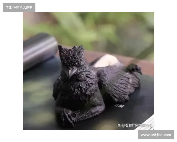 驯服狮鹫的七大关键步骤让你轻松掌控这神秘生物