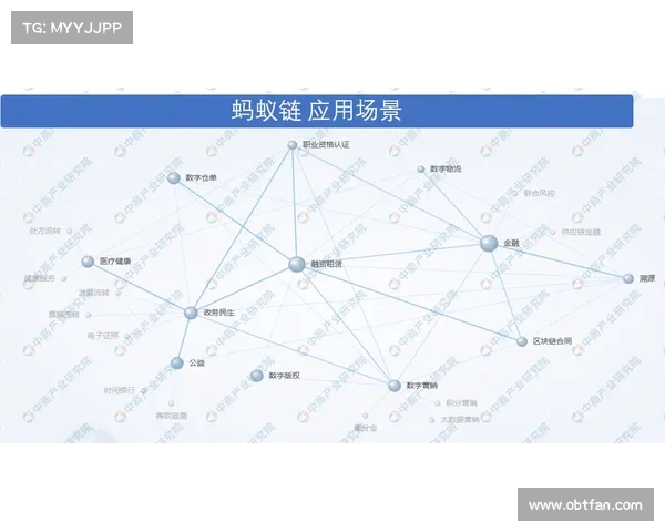 DK宏技术研究与实践应用到优化的全景化深度解析路径探索